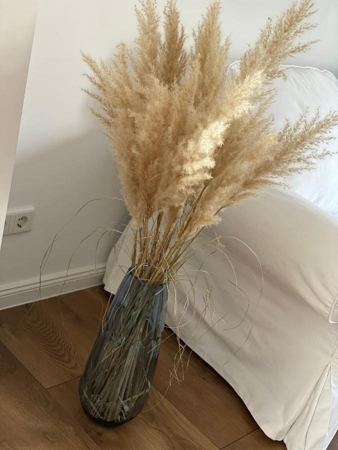 Ferienwohnung Mit Balkon Und Garten Og Flensburg Dış mekan fotoğraf
